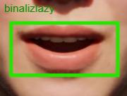 lip-reading demo